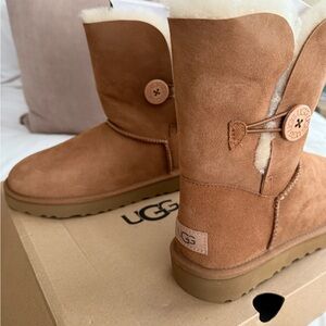 UGG Women's Chestnut Winter Boots